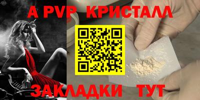 дмт Аргун