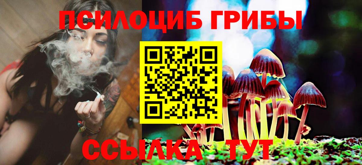 Галлюциногенные грибы прущие грибы  Галлюциногенные грибы Cubensis  где купить наркоту  Россия  Вход с VPN 