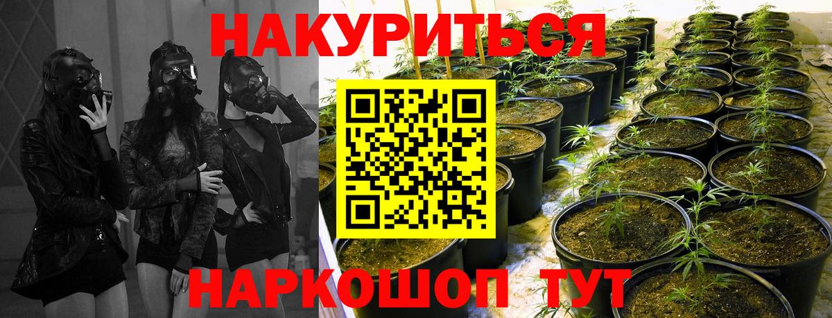 Канабис сатива  МАРИХУАНА THC 21%  Россия  Бошки марихуана MAZAR  Бошки Шишки гибрид  Вход с VPN 
